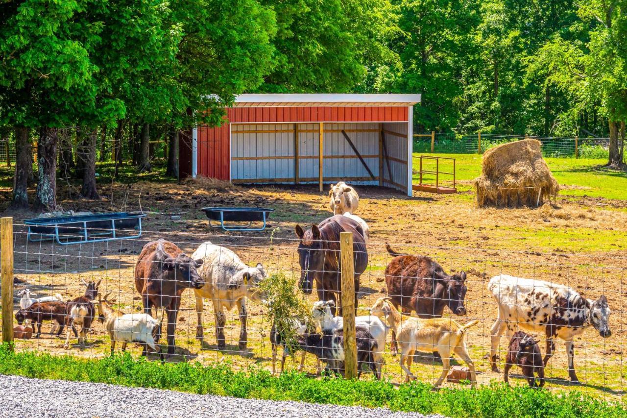 Вілла Almost Heaven Farmers Paradise On 50 Acres! Brownsville Екстер'єр фото