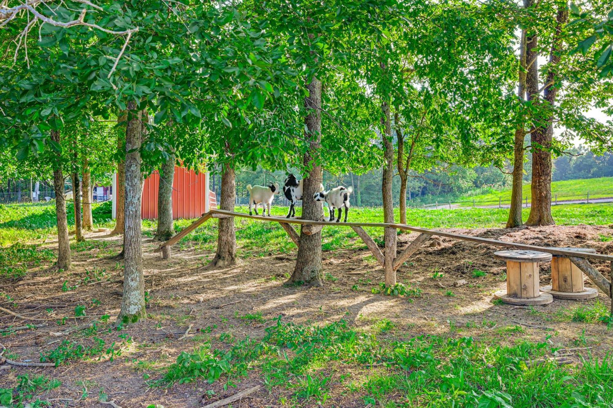 Вілла Almost Heaven Farmers Paradise On 50 Acres! Brownsville Екстер'єр фото